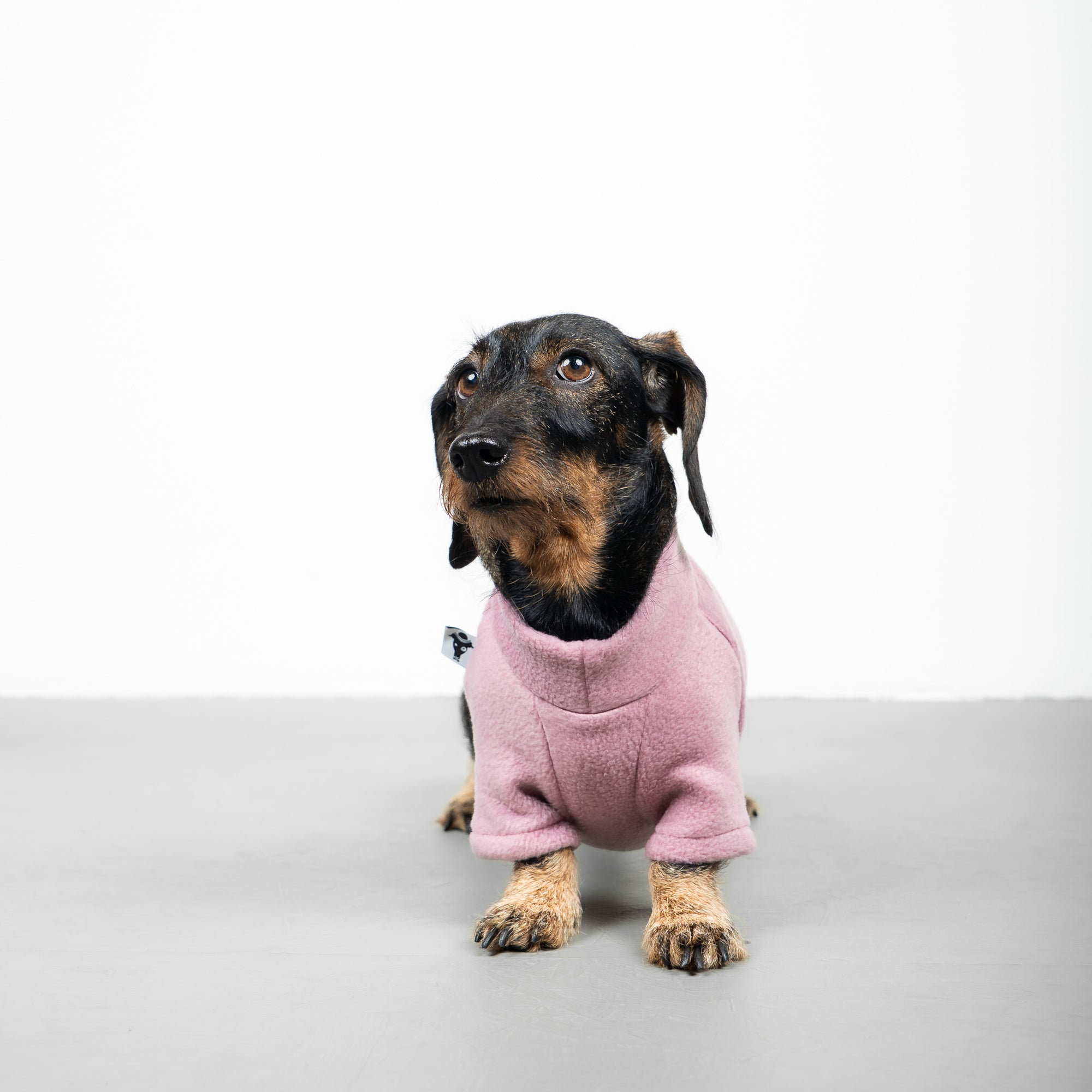 Karma Hund Pullover Dackel Altrosa