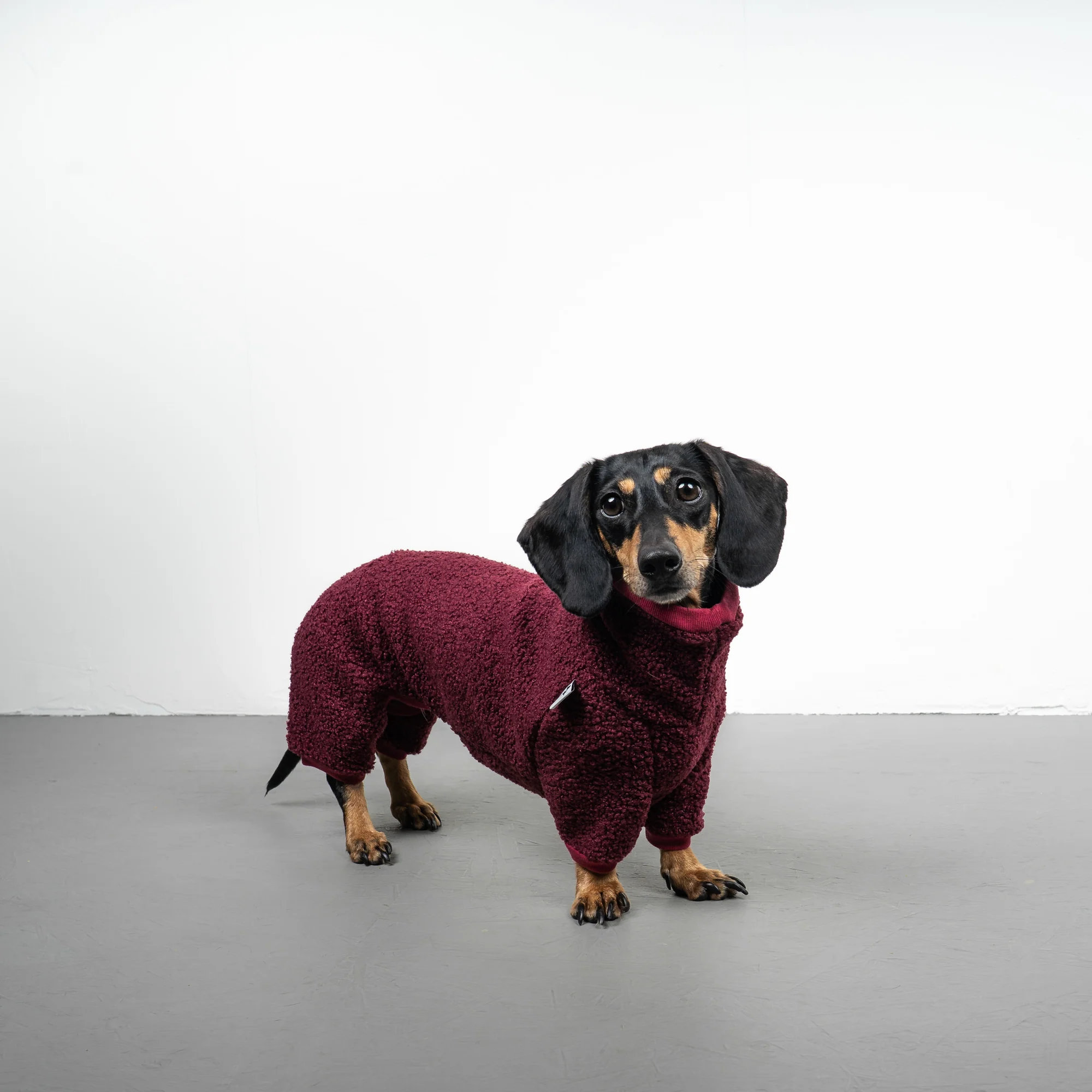 Karma Hund WINTER OVERALL 2.0 Dackel Weinrot S
