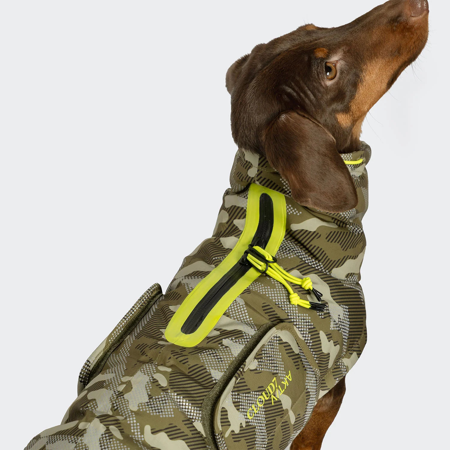 Cloud7 Hundemantel Dackel Alaska AKTIV Camo Gr. 2