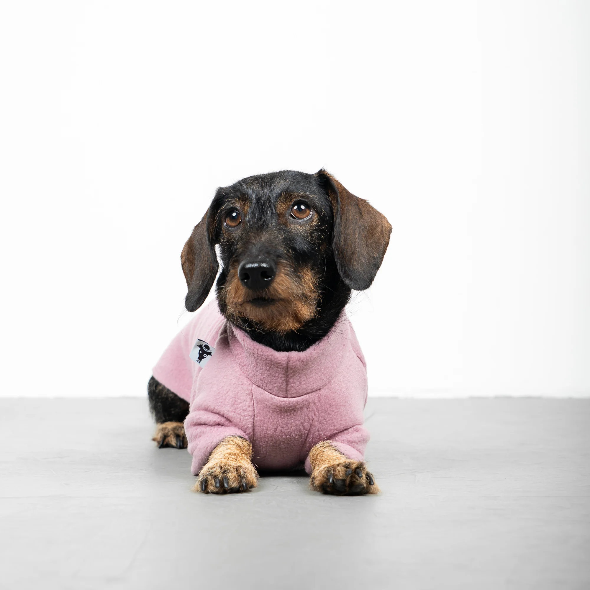 Karma Hund Pullover Dackel Altrosa