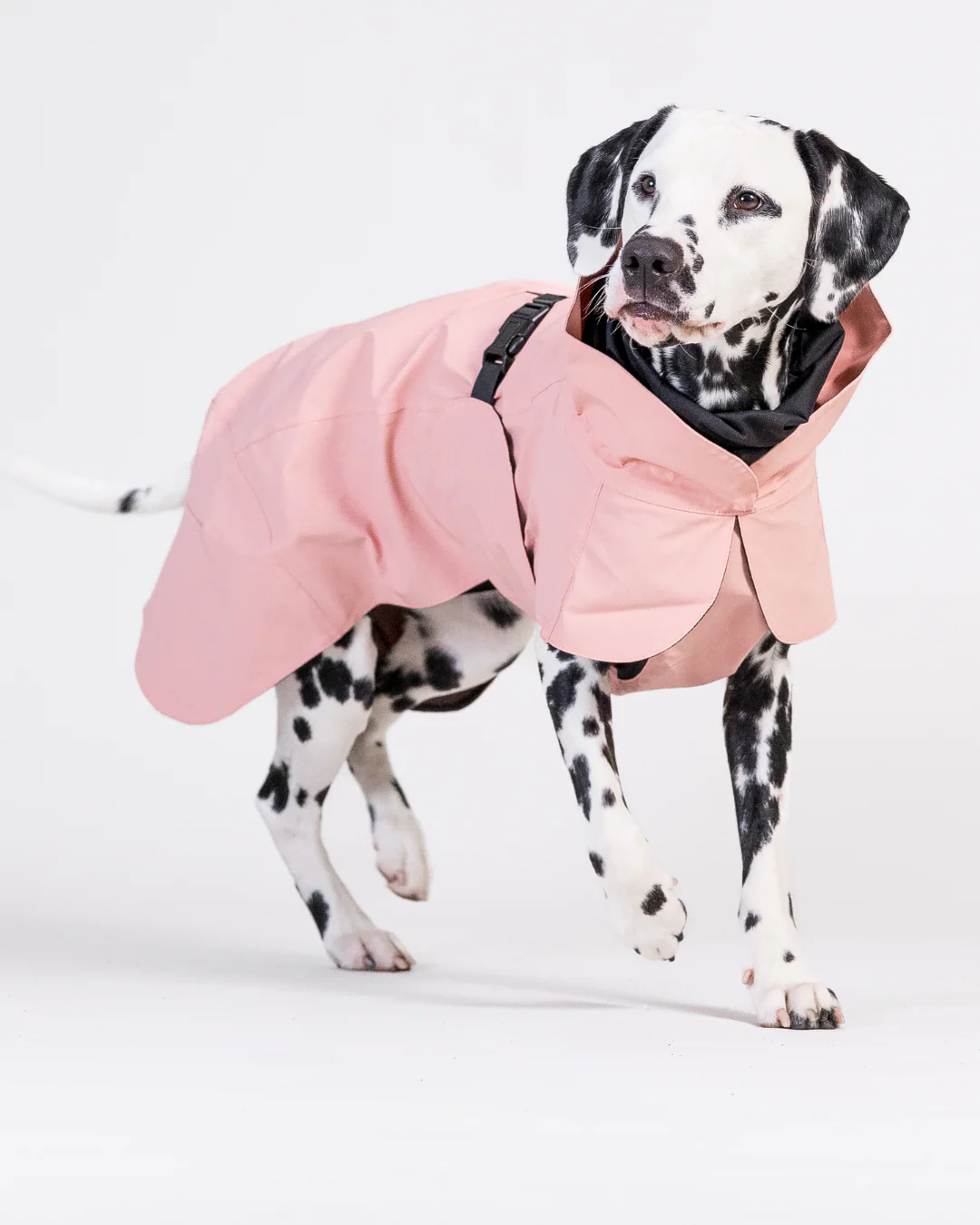 Hunderegenmantel VISIBILITY RAINCOAT Lite Rose