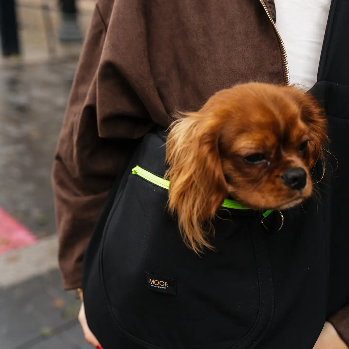Hundetragetasche LOOP Black