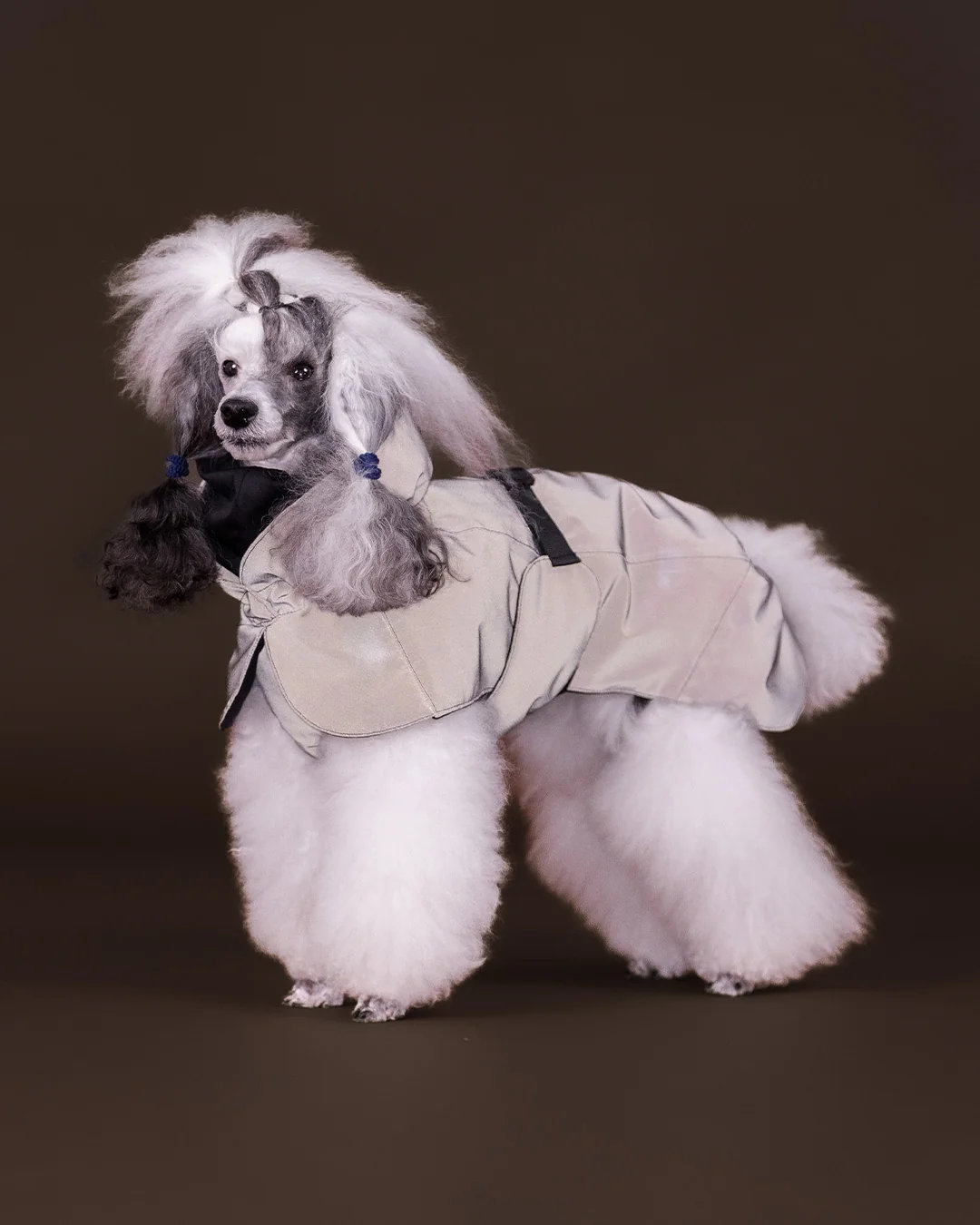 PAIKKA Visibility Hundewintermantel Seawool Choco Gr. 25