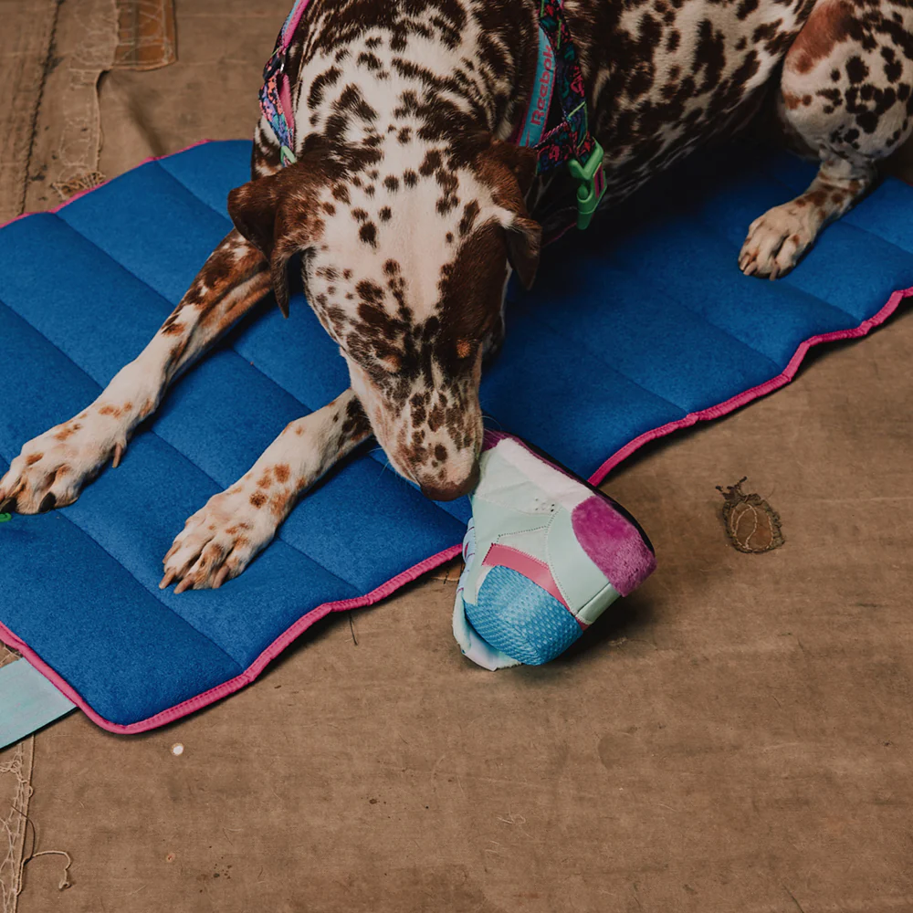zee.dog Hundespielzeug Reebok FREESTYLE HI SNEAKER