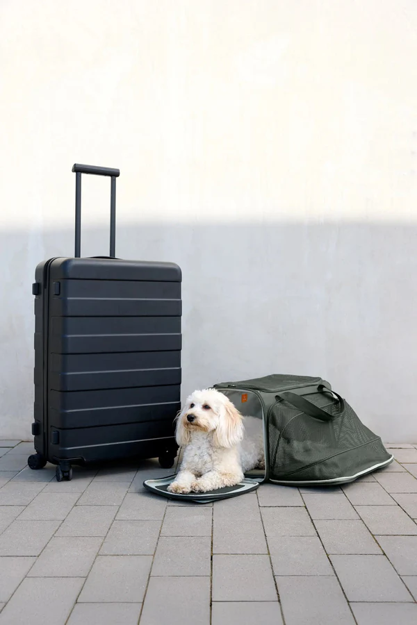 Hundetasche BENNO dunkelgrün