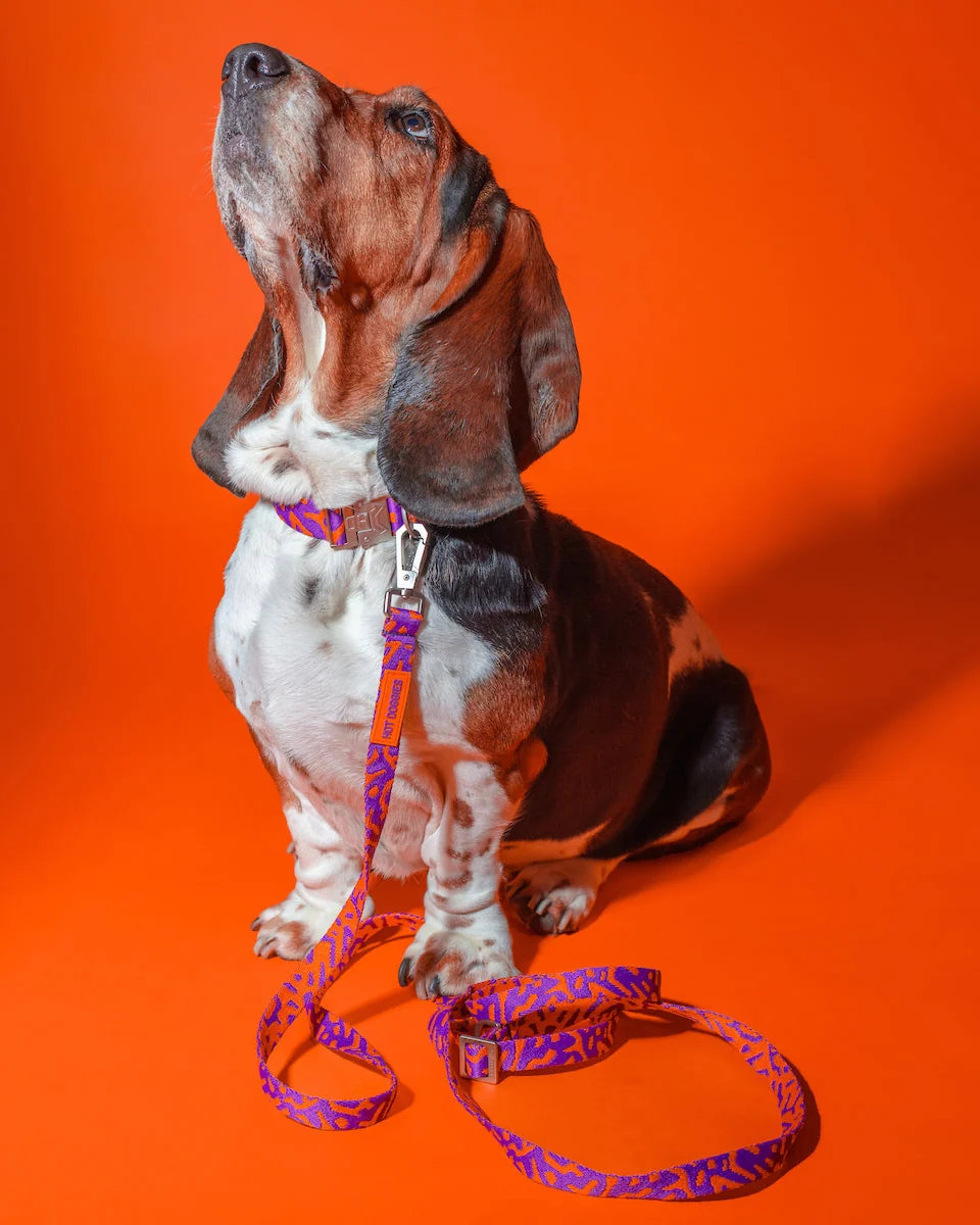 HOT DOGGIES® Hands-Free Leine POPPY SURPRISE