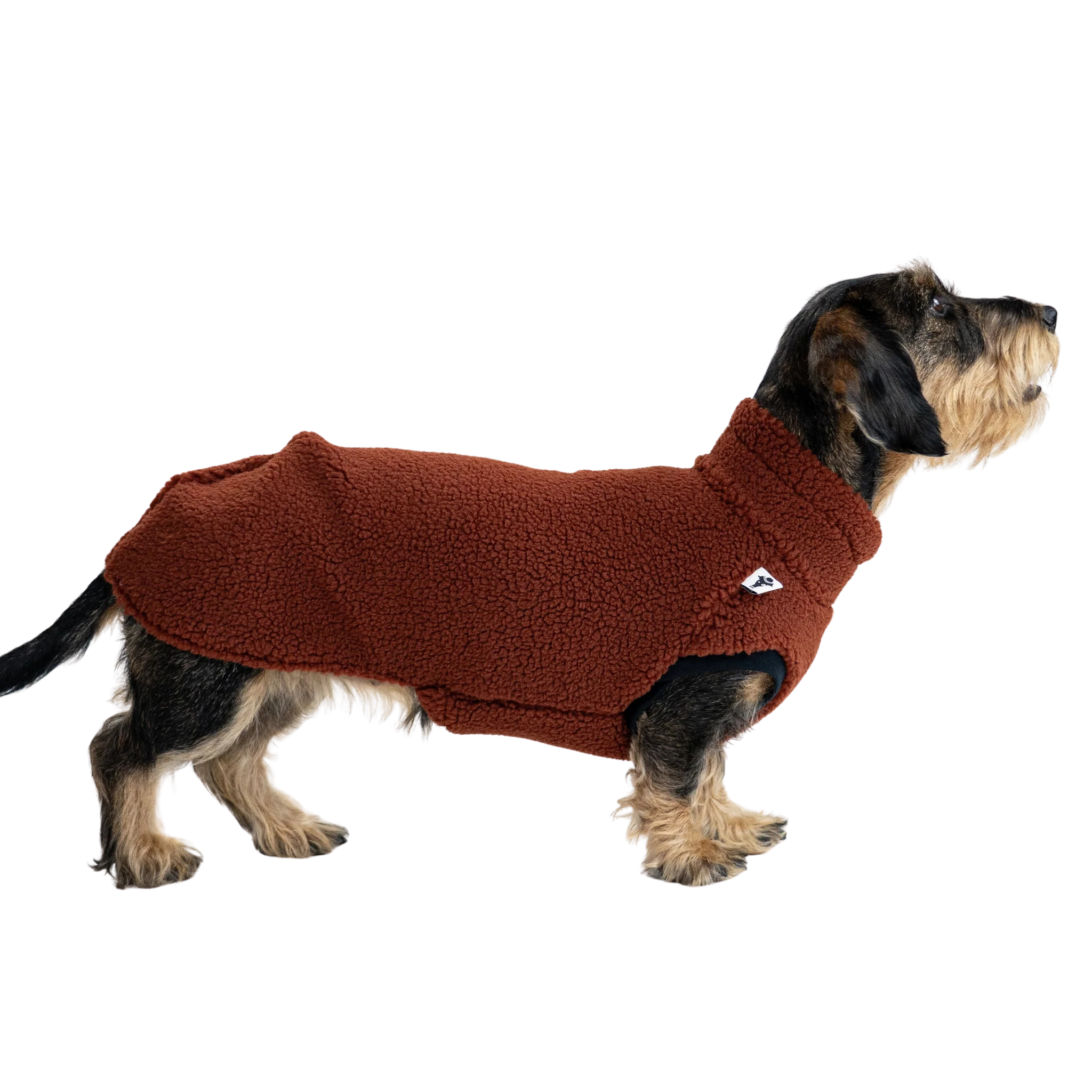 Karma Hund Teddy Shirt Dackel Rostbraun
