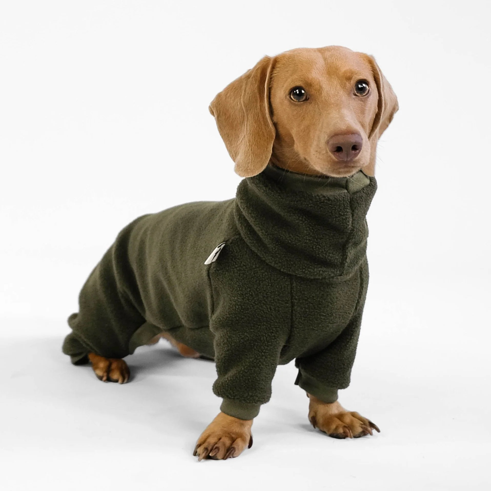 Karma Hund OVERALL Dackel Olivgrün XXXL