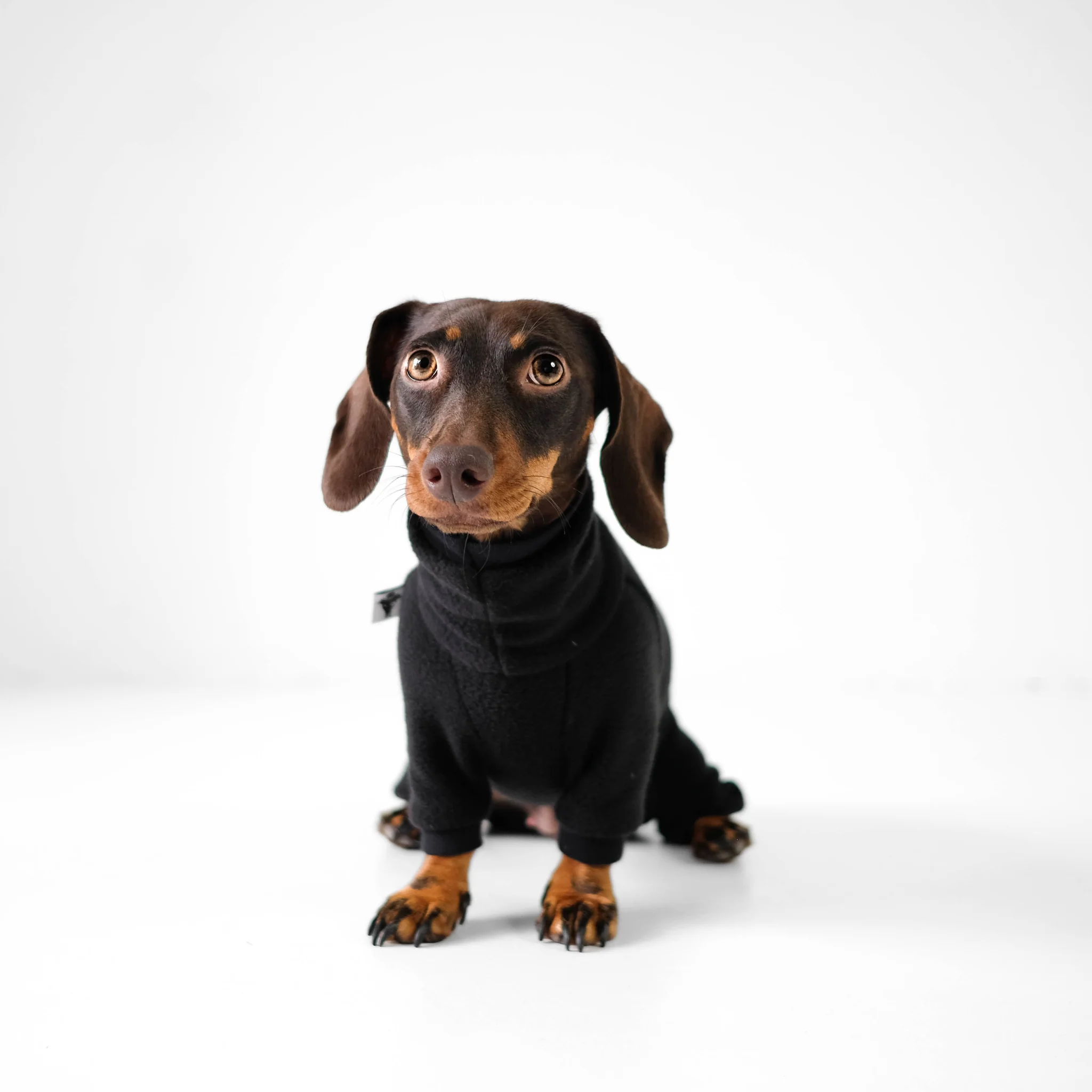 Overall Dackel Schwarz