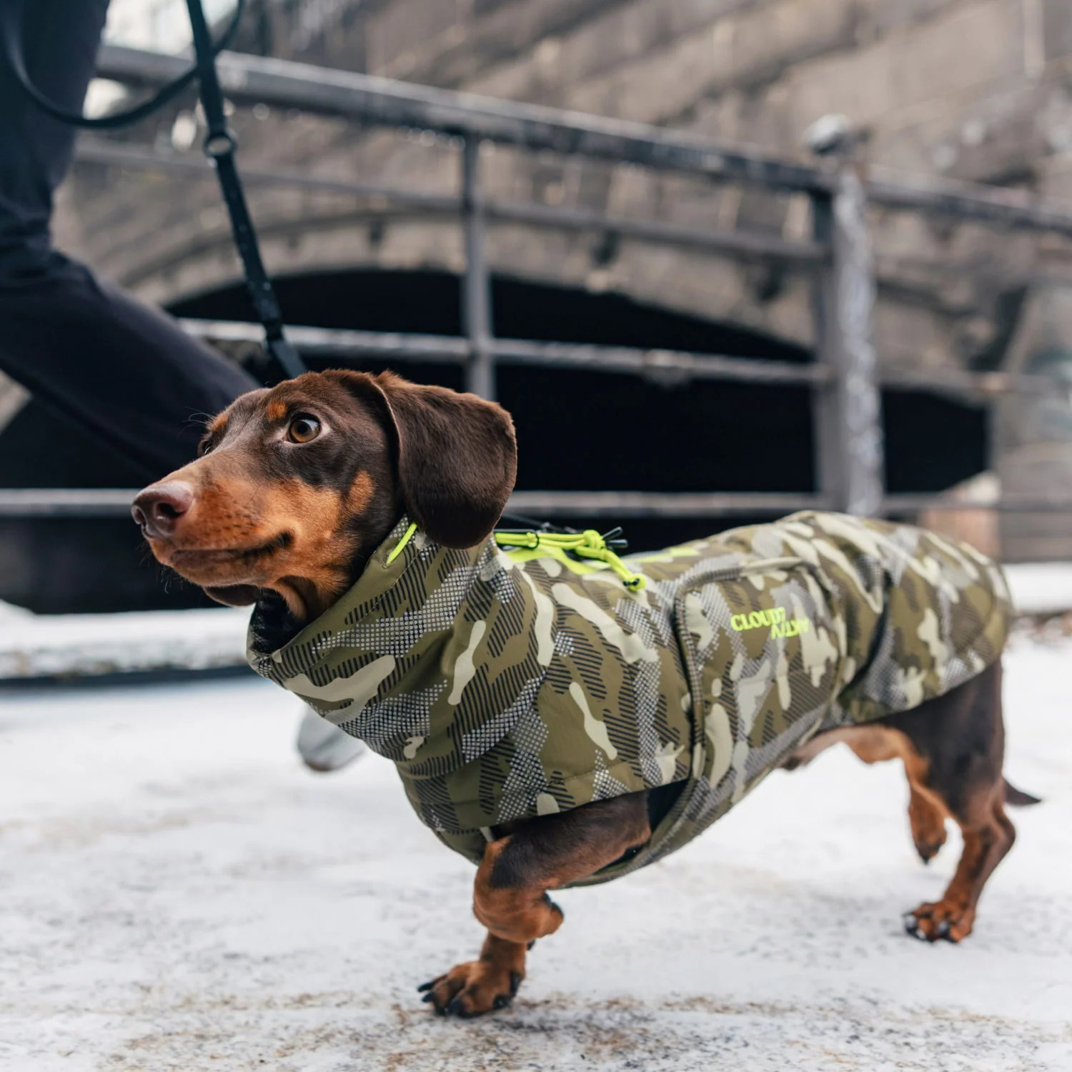 Cloud7 Hundemantel Dackel Alaska AKTIV Camo Gr. 2