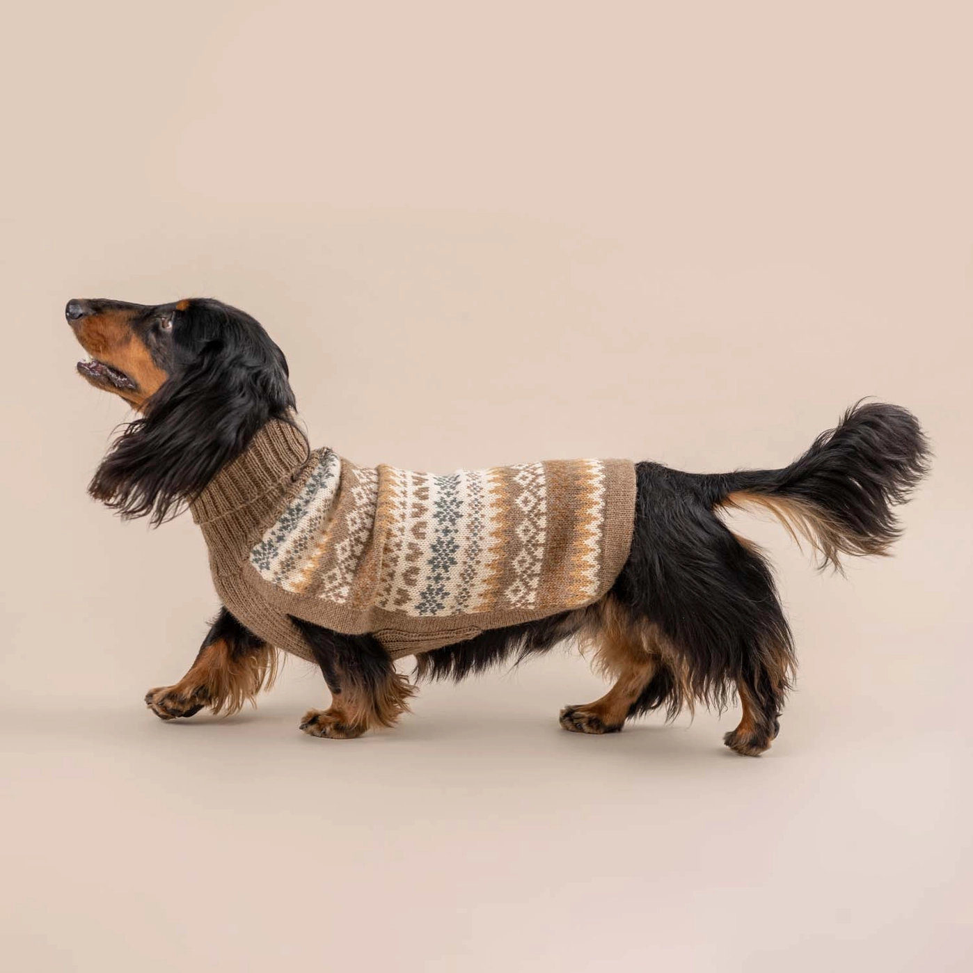 Alqo Wasi FALL MEDLEY Alpaka Hundepullover Brown Gr. L