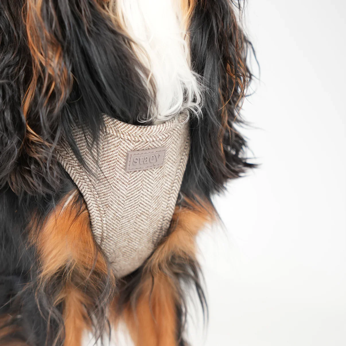 Step-In Hundegeschirr SAGA Mocca