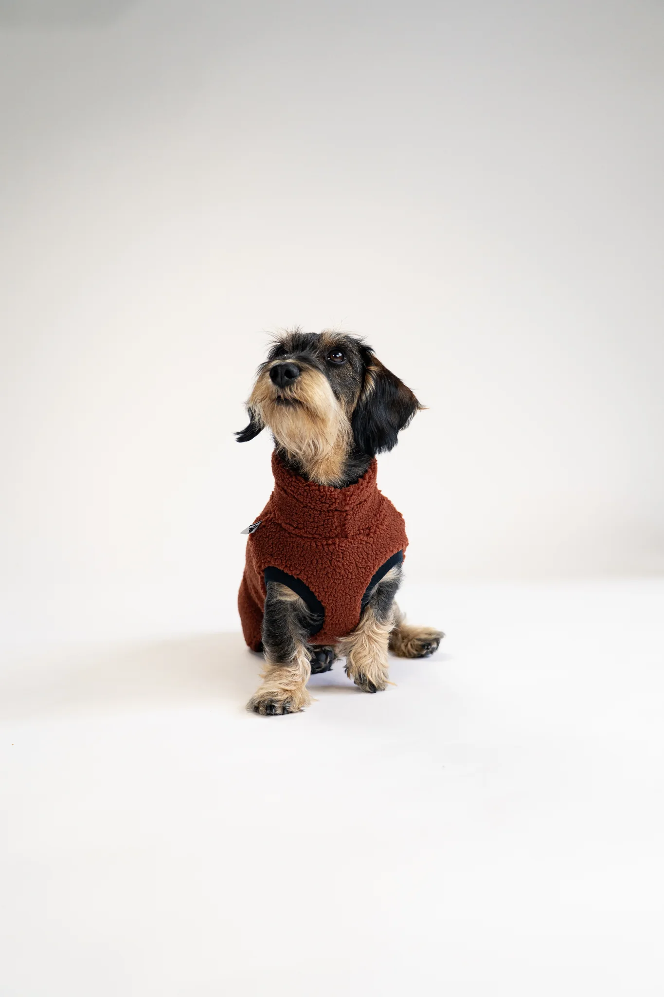 Karma Hund Teddy Shirt Dackel Rostbraun