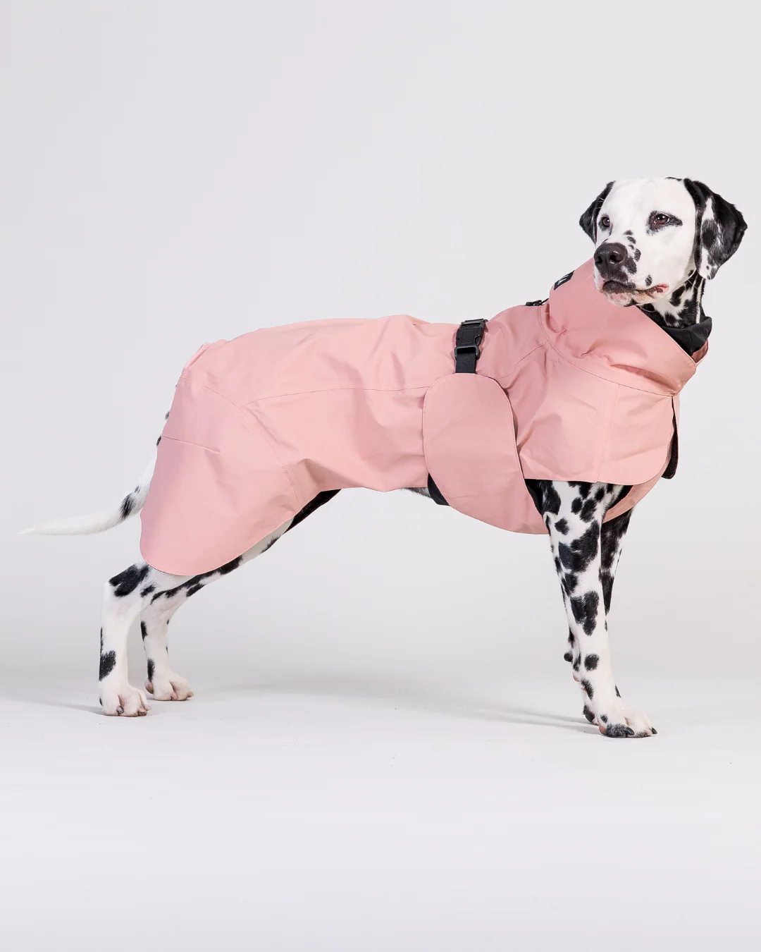 Hunderegenmantel VISIBILITY RAINCOAT Lite Rose