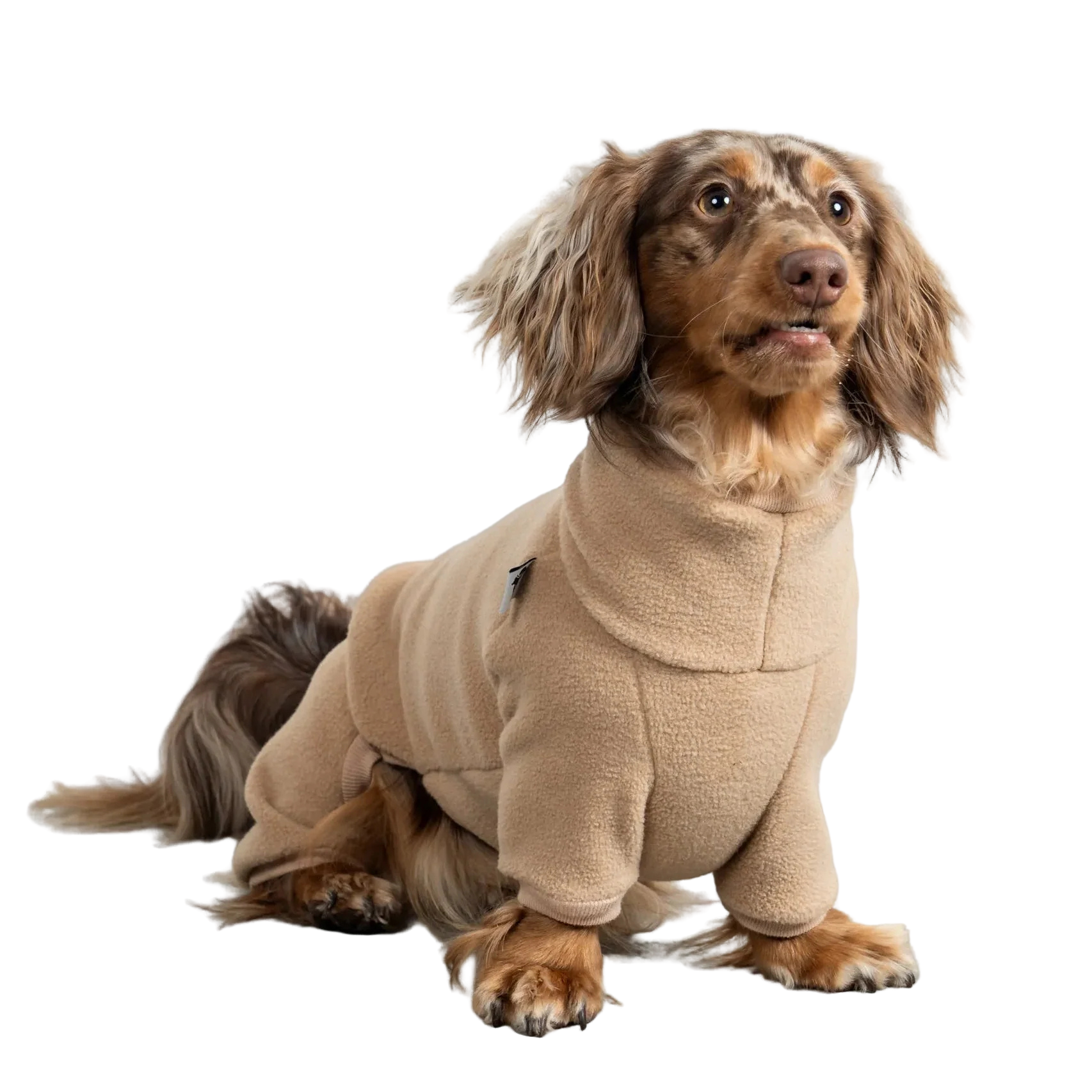 Karma Hund OVERALL Dackel Sand Beige