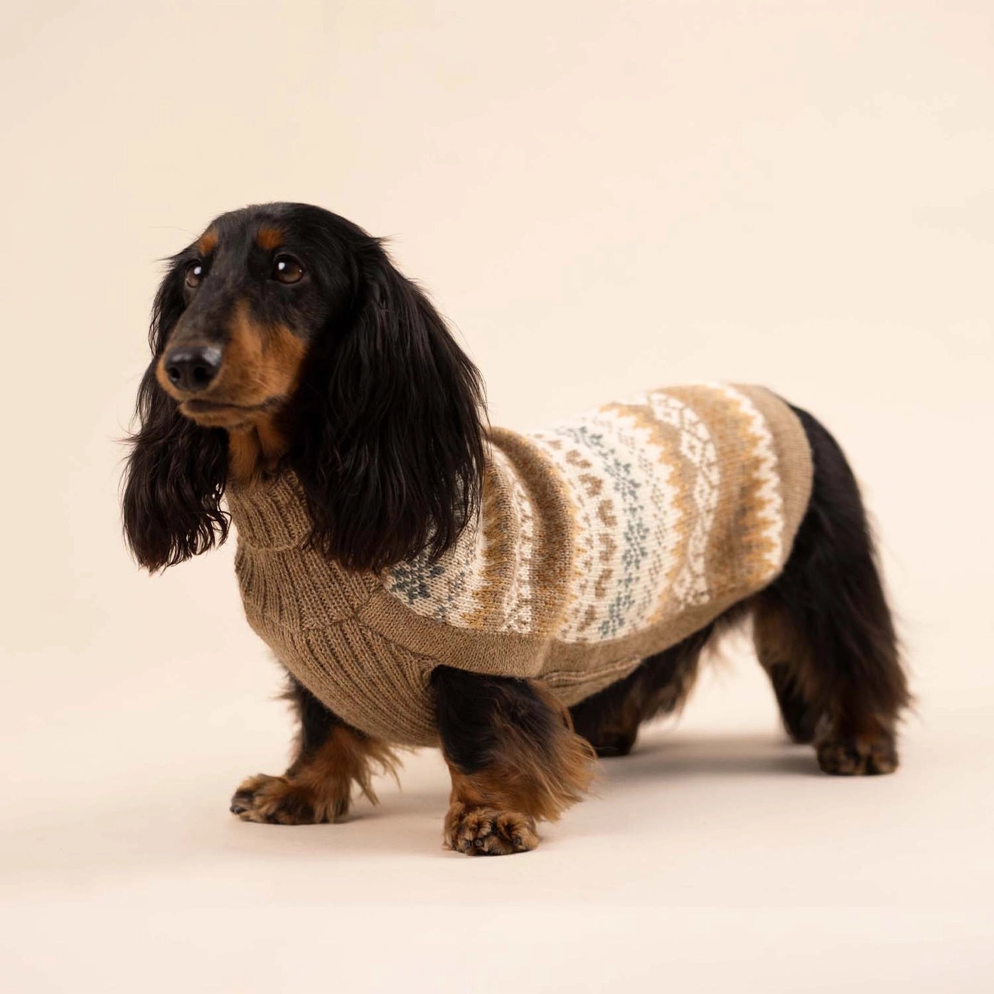 Alqo Wasi FALL MEDLEY Alpaka Hundepullover Brown Gr. L