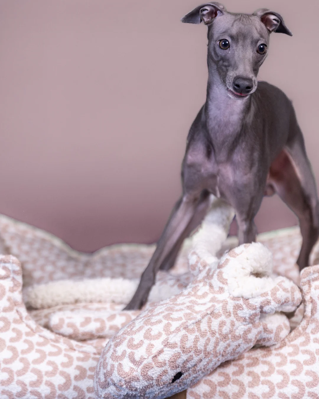 Hundebett TREASURE Rosa