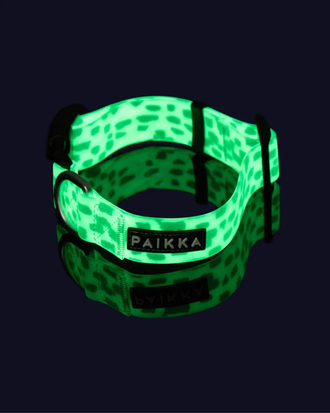 PAIKKA Glow Hundehalsband 2.0 Leo – nachleuchtend 1,5x23-30cm