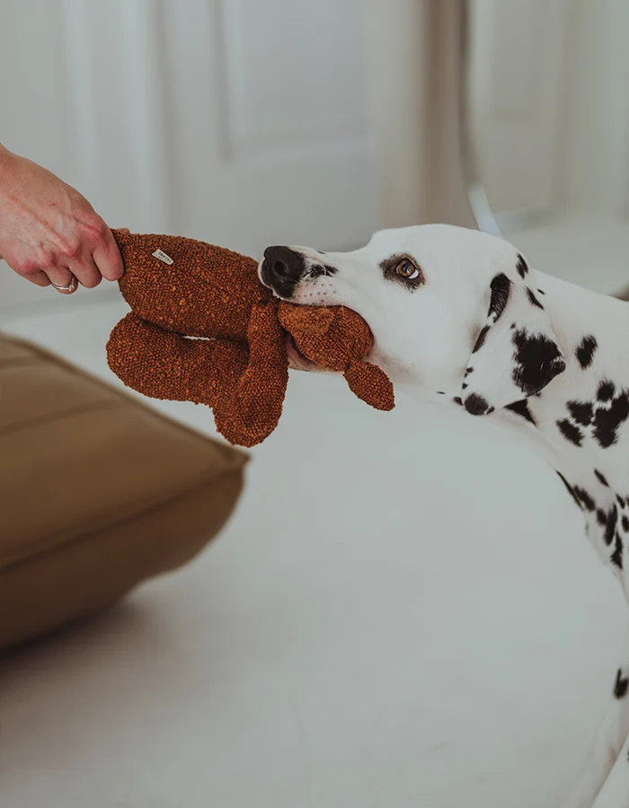  Hundespielzeug LEA EICHHÖRNCHEN