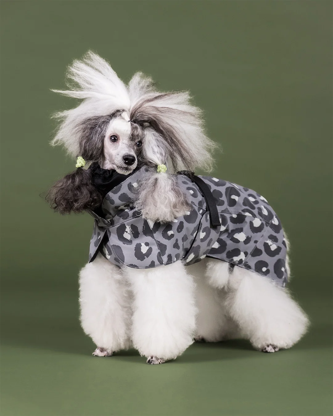 PAIKKA Visibility Hundewintermantel Seawool Grau Leo Gr. 25