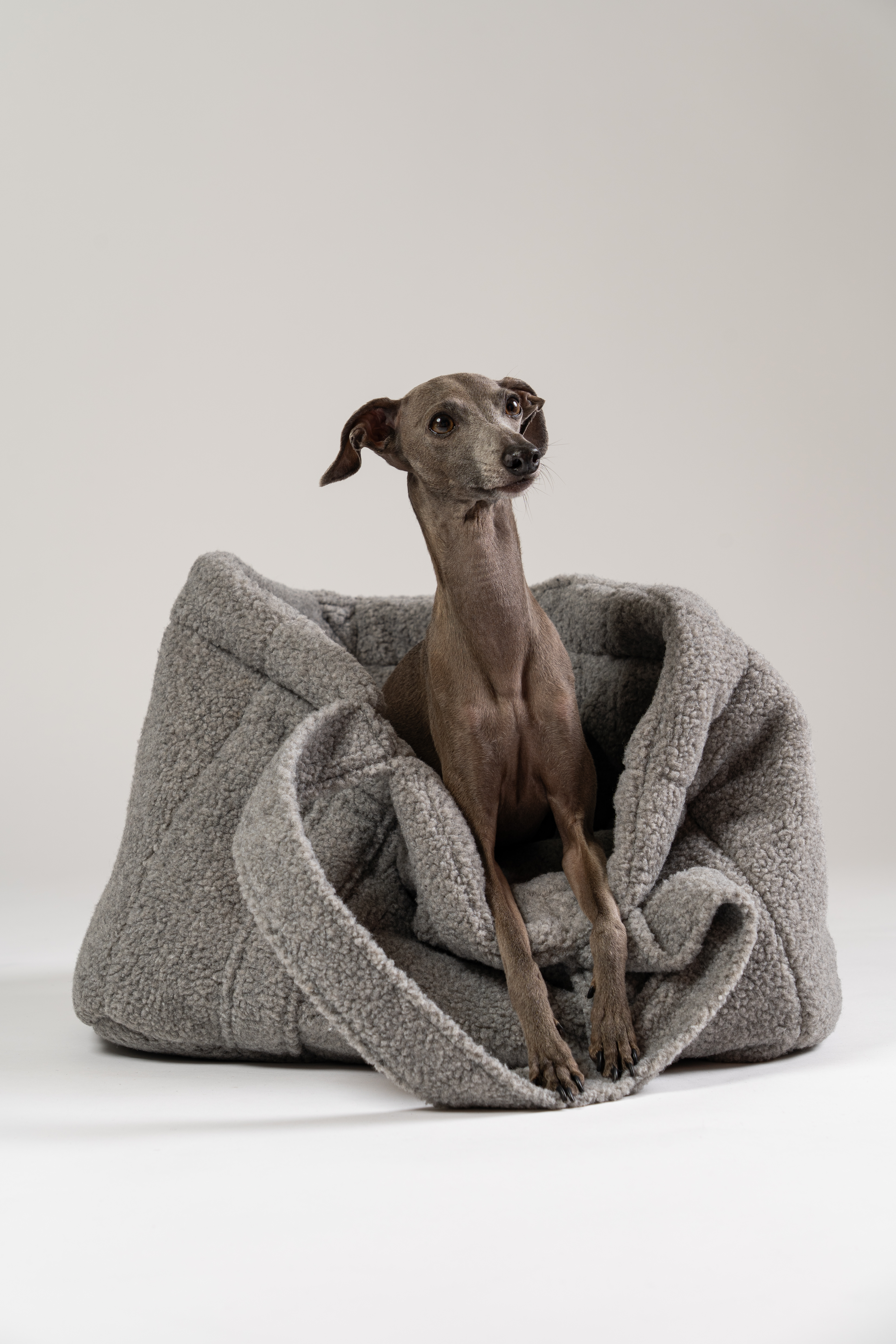 Teddy Shopper Grey