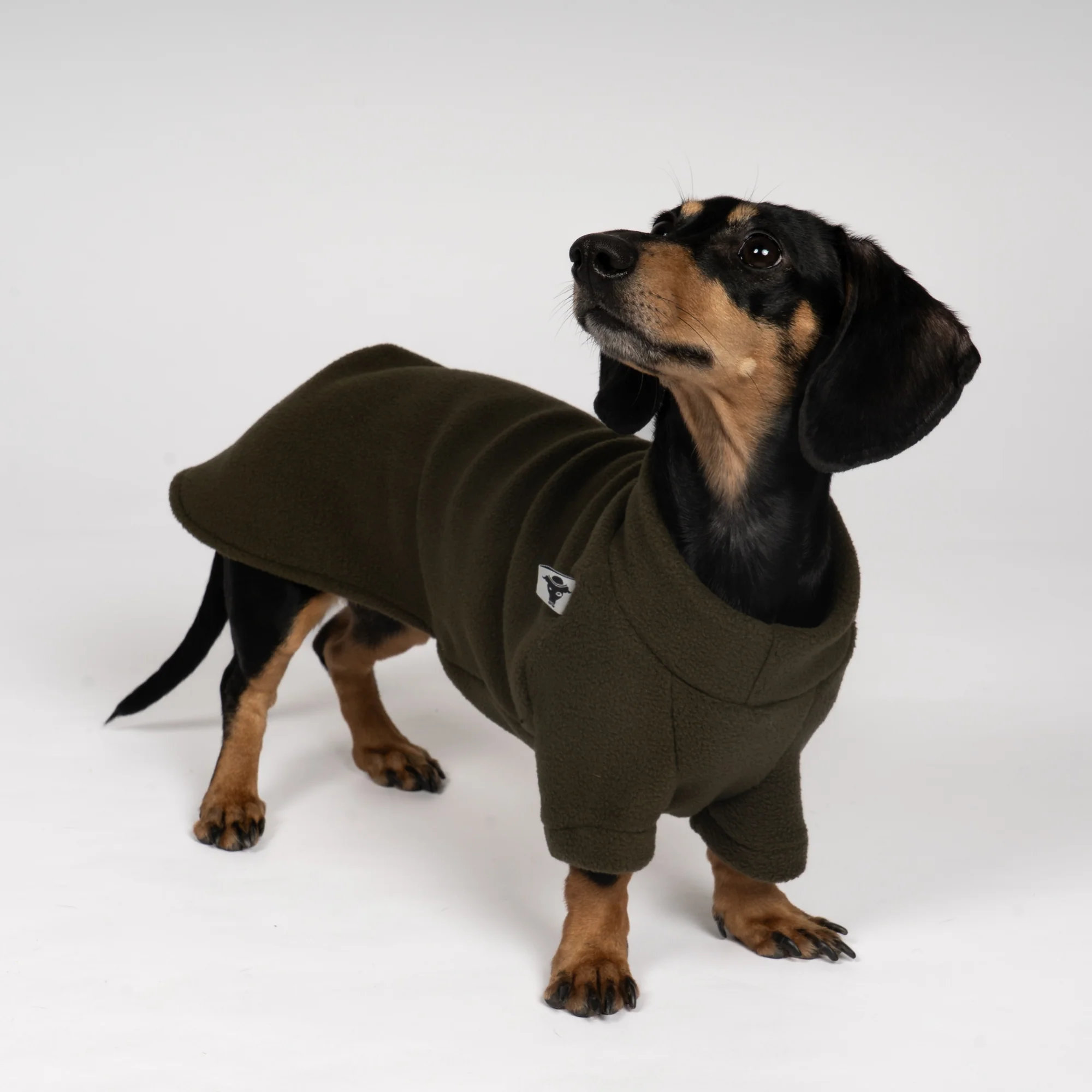 Karma Hund Pullover Dackel Olivgrün