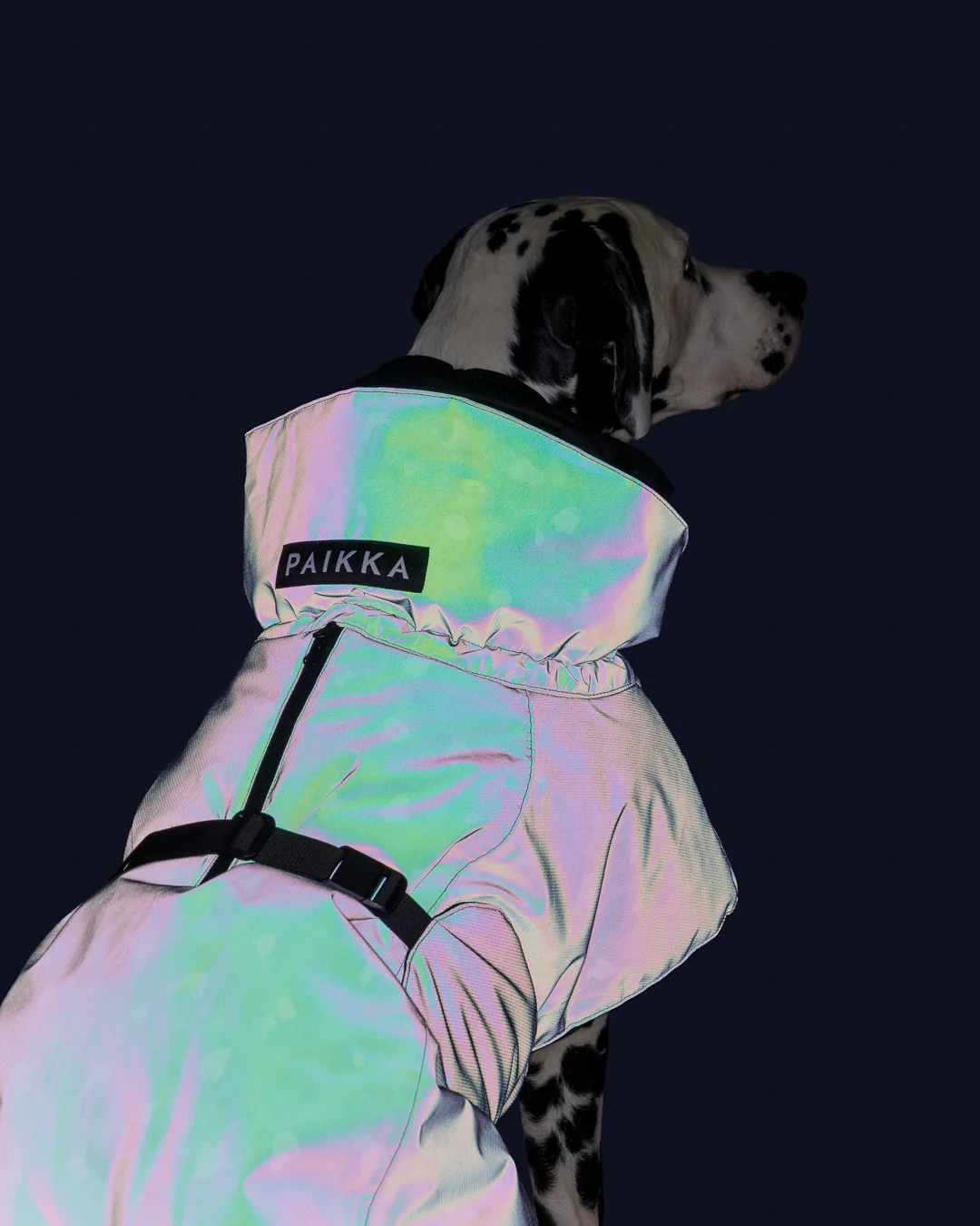 PAIKKA Visibility Hundewintermantel Seawool Grau Leo Gr. 25