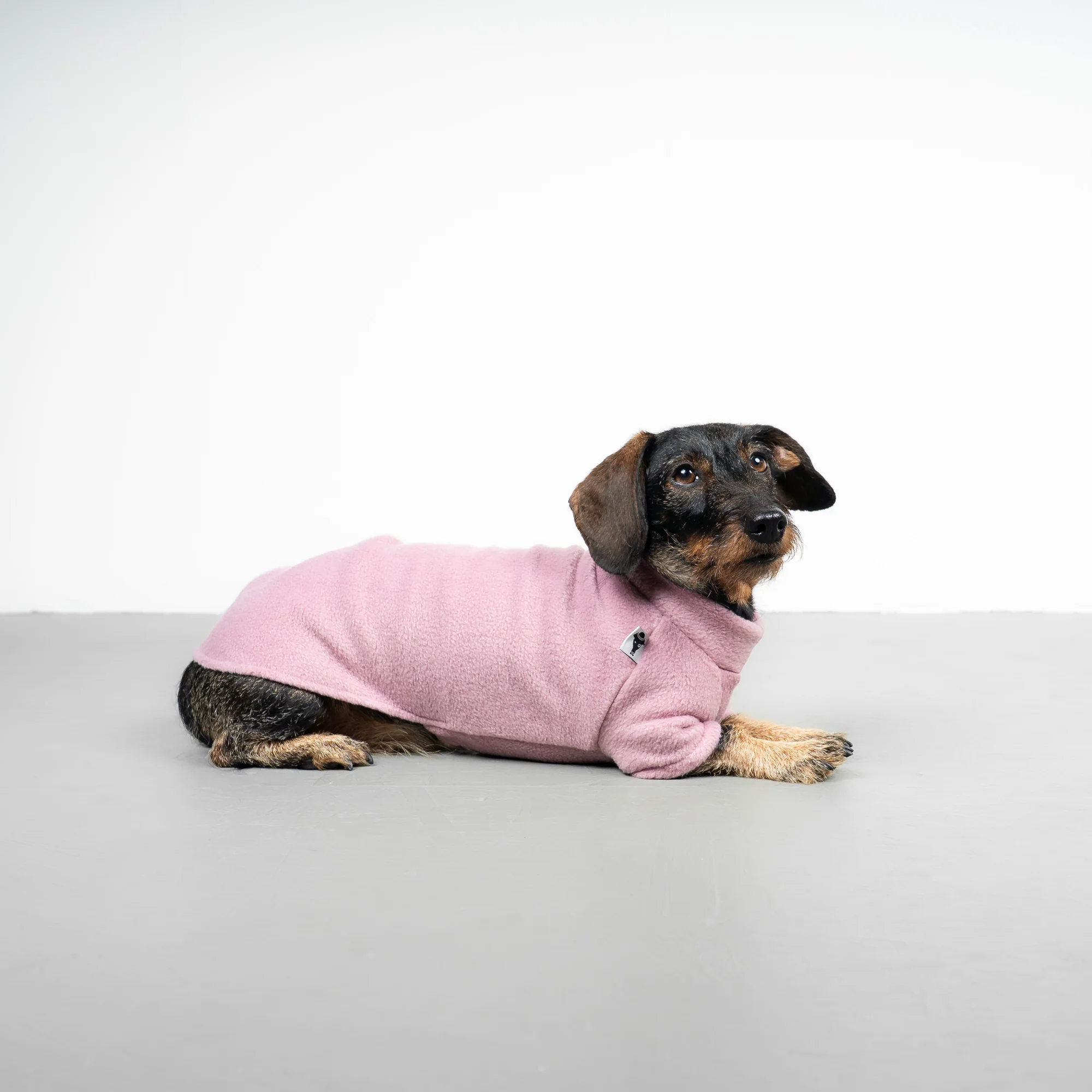 Karma Hund Pullover Dackel Altrosa