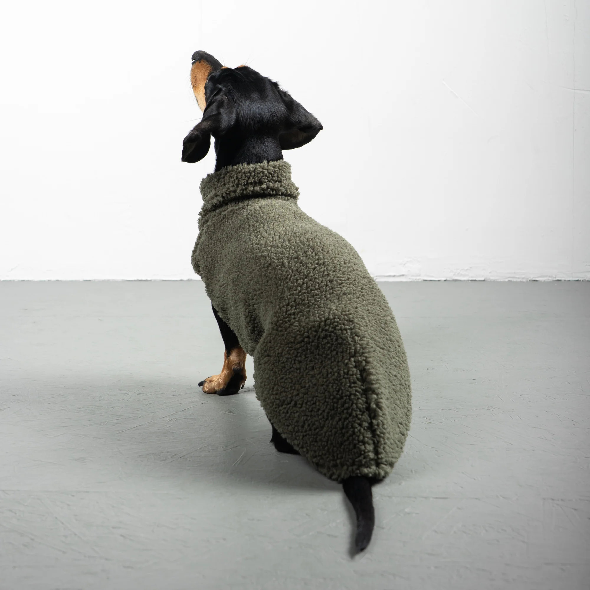 Karma Hund TEDDY SHIRT Dackel Olivgrün
