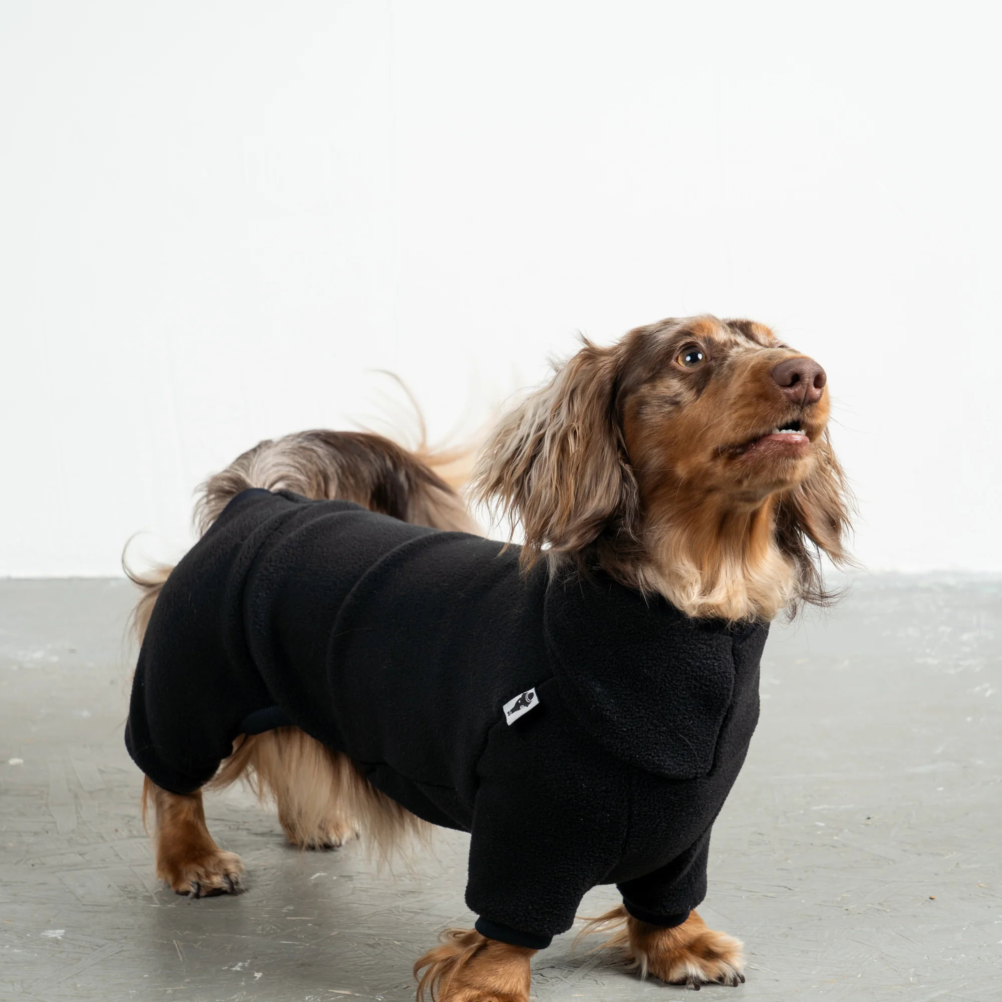 Karma Hund OVERALL Dackel Schwarz M