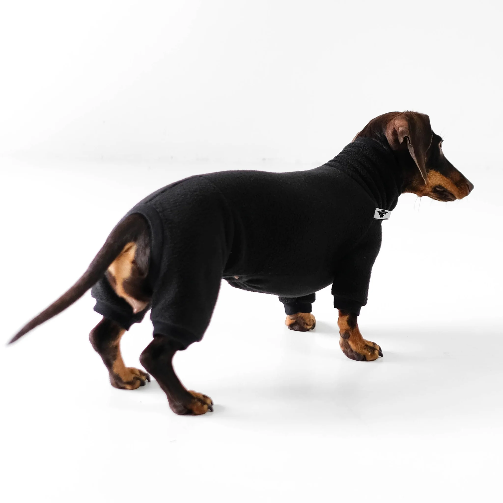 Overall Dackel Schwarz