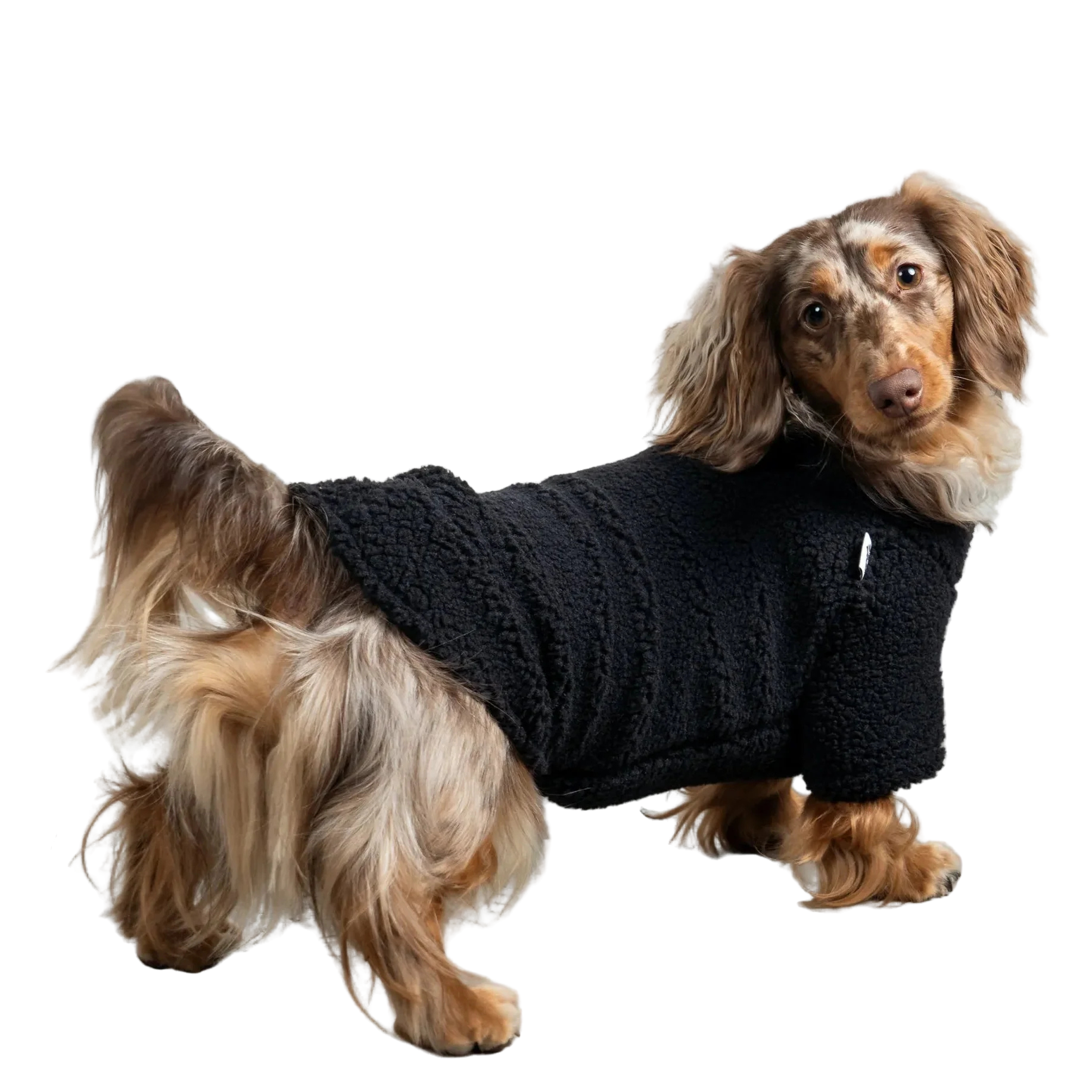 Karma Hund Teddy Pullover Dackel Schwarz