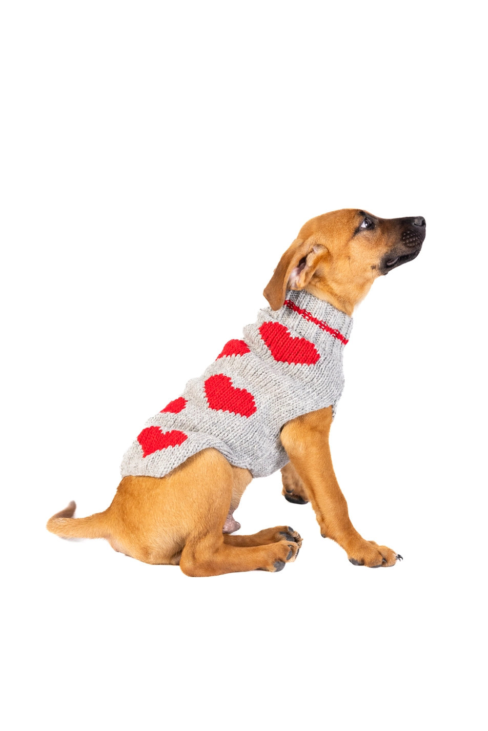 CHILLY DOG RED HEARTS – Handgestrickter Hundepullover aus reiner Wolle