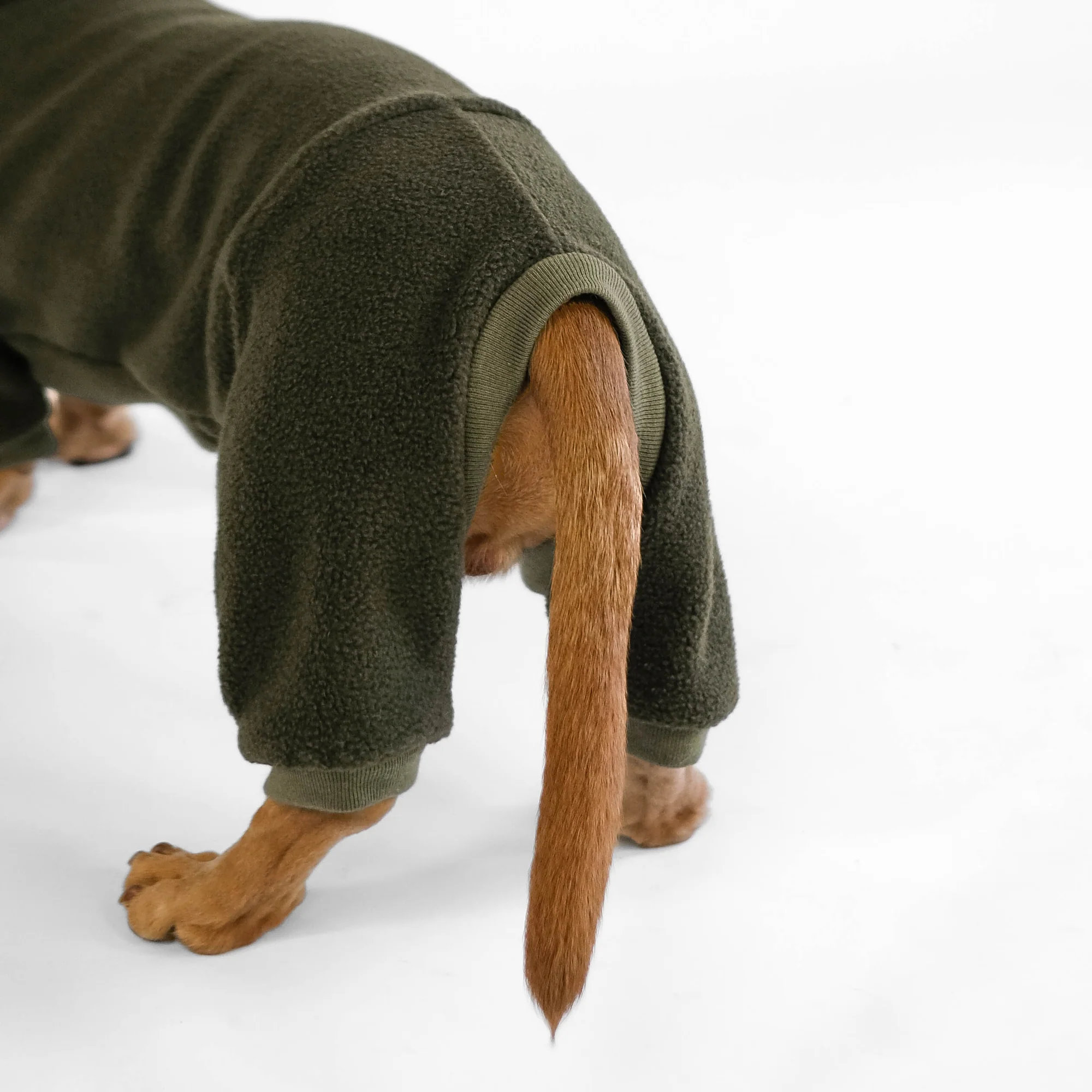 Karma Hund OVERALL Dackel Olivgrün XXXL
