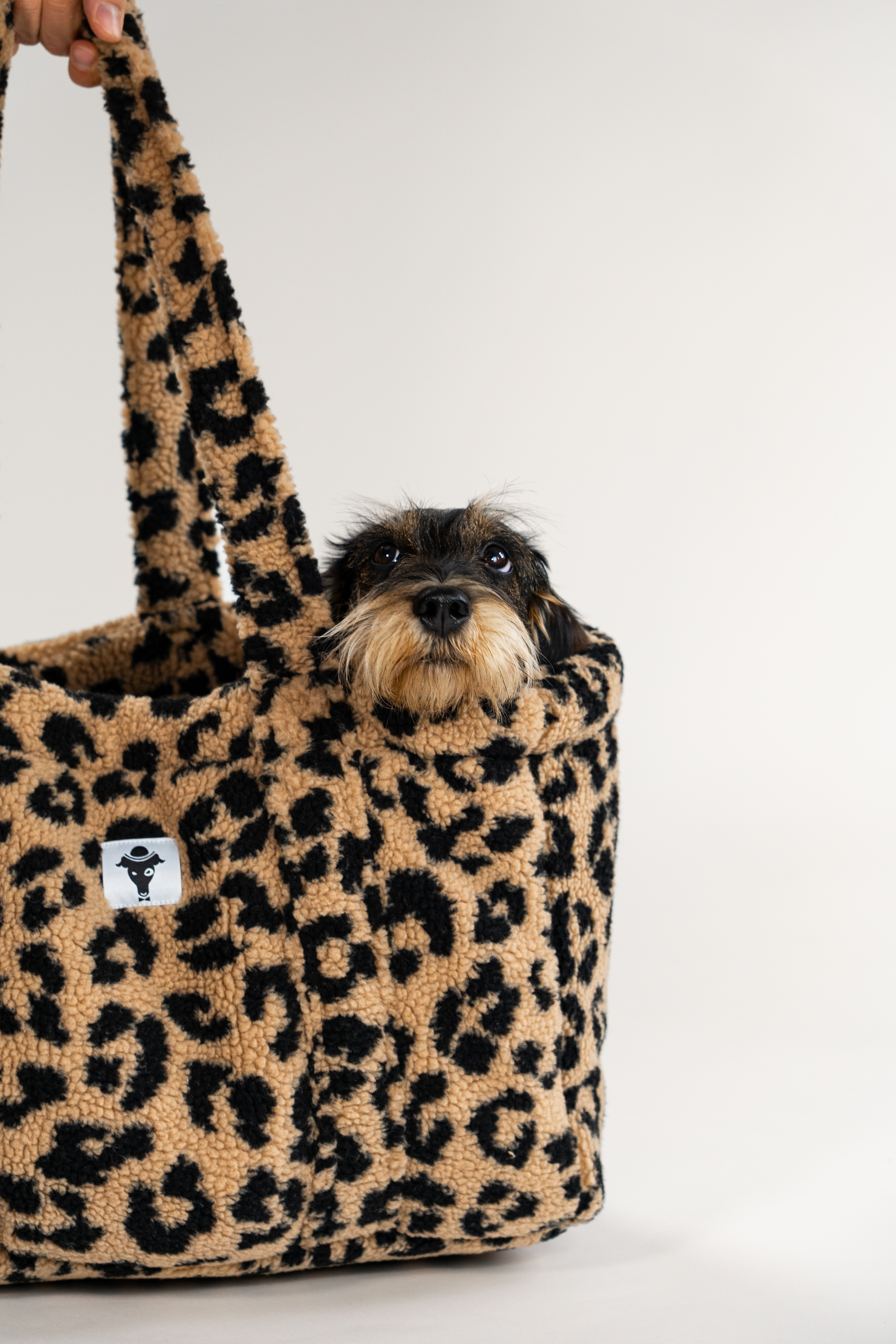 Teddy Shopper Leo