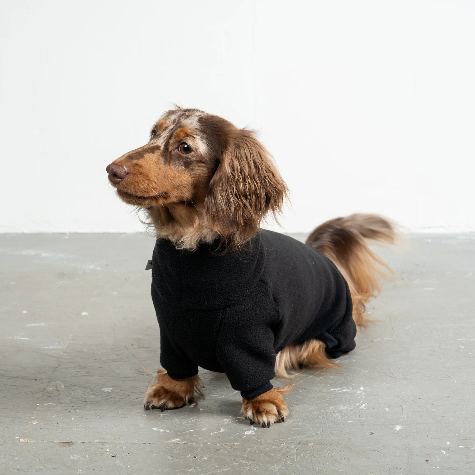 Karma Hund OVERALL Dackel Schwarz M