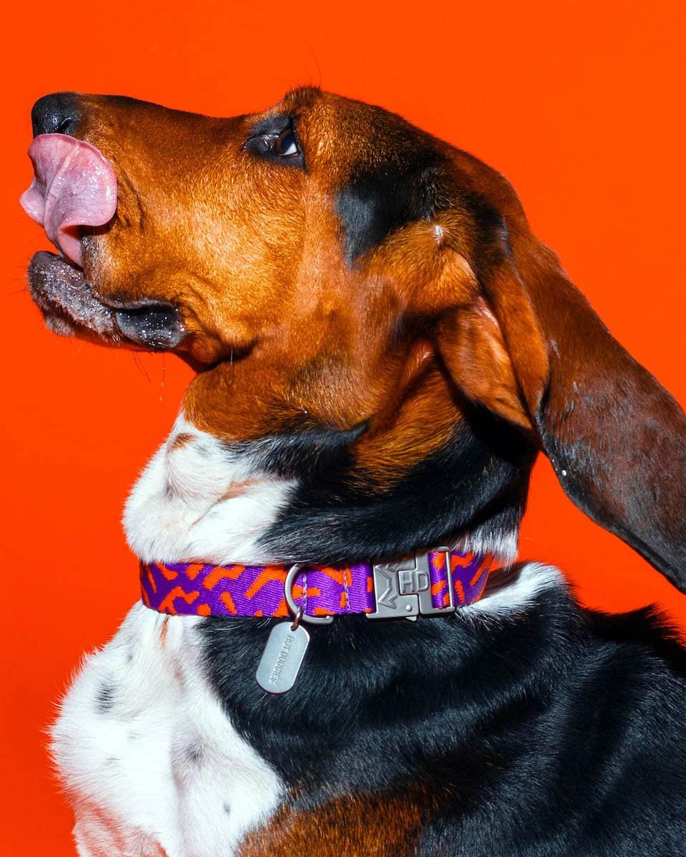 HOT DOGGIES® Halsband POPPY SUNRISE Gr. S