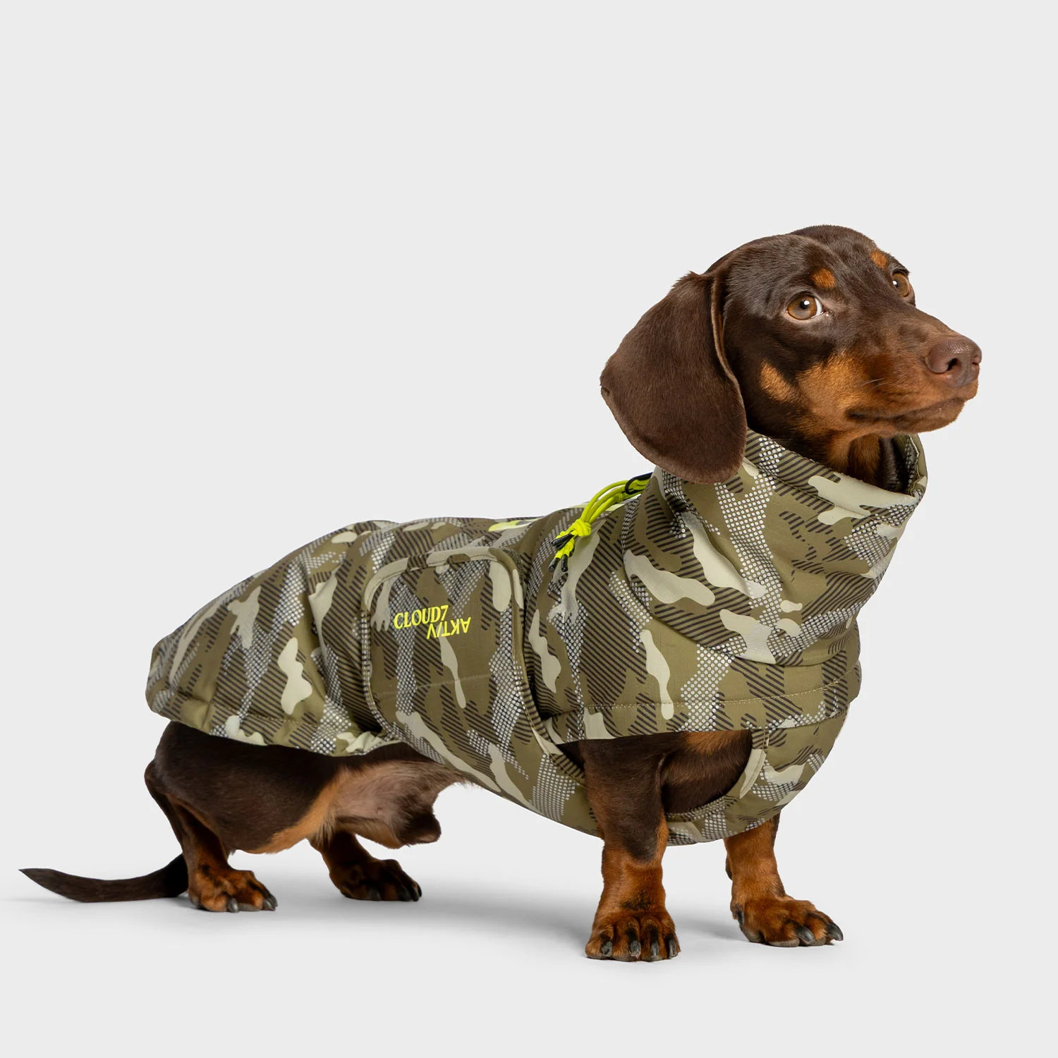 Cloud7 Hundemantel Dackel Alaska AKTIV Camo Gr. 2