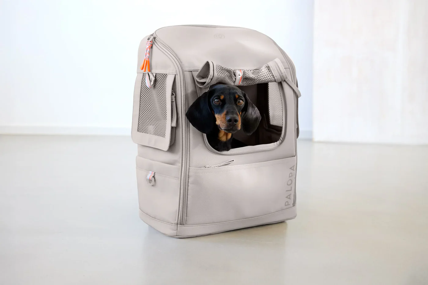 Hundetragerucksack KARI taupe