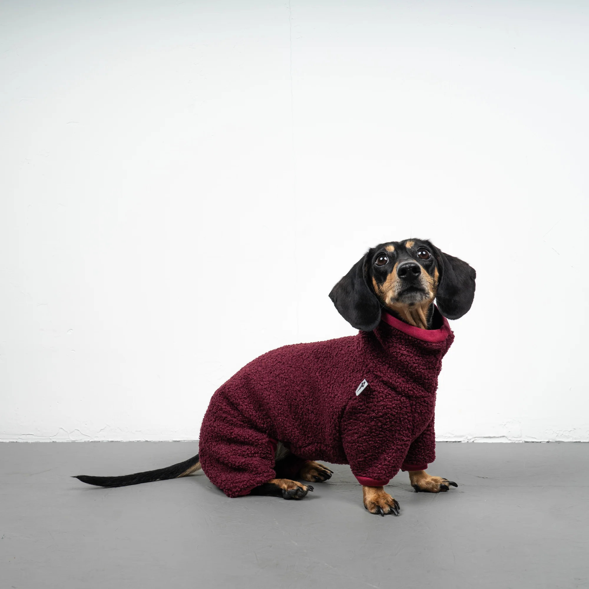 Karma Hund WINTER OVERALL 2.0 Dackel Weinrot 