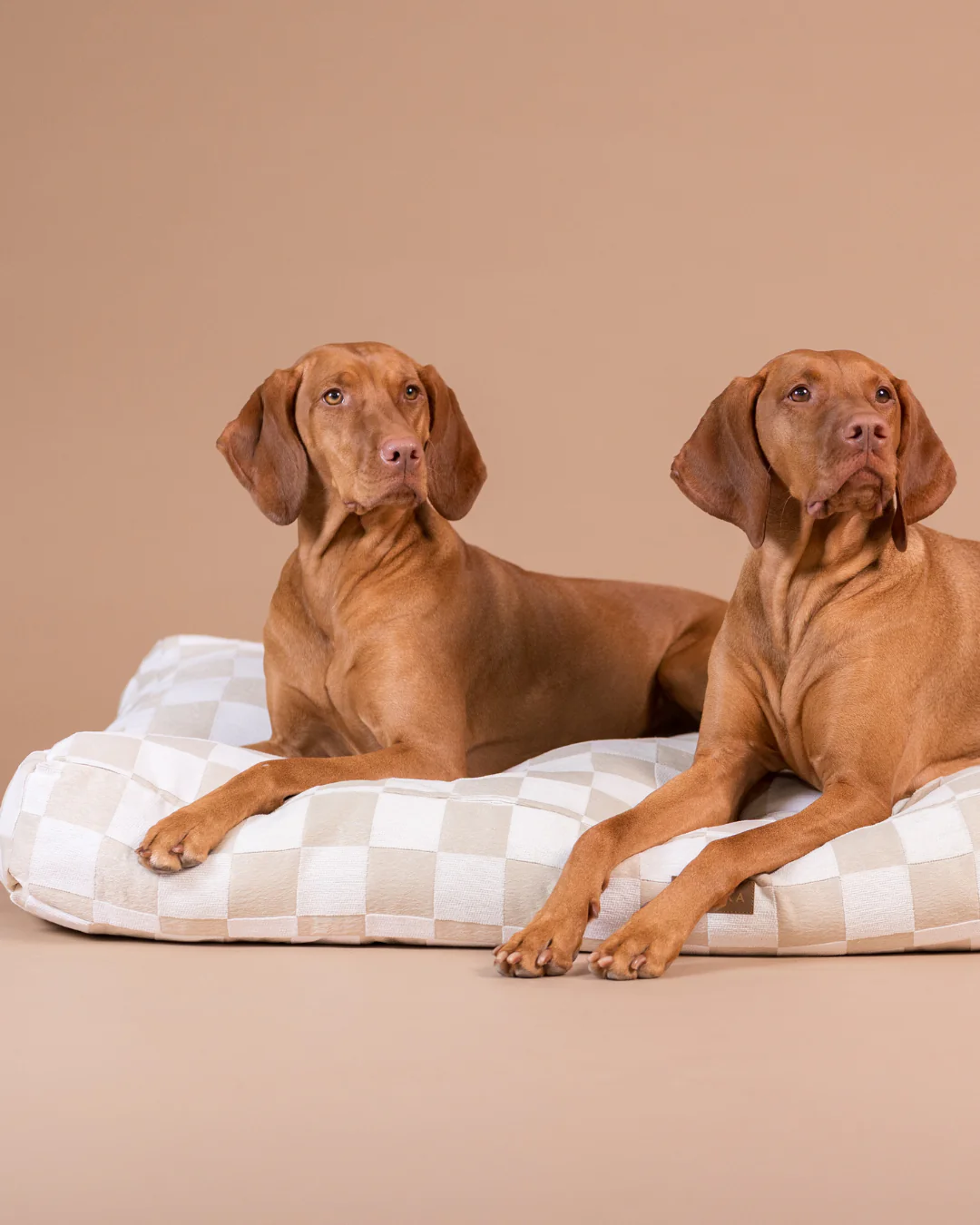 Hundebett CHECK MATTRESS Beige