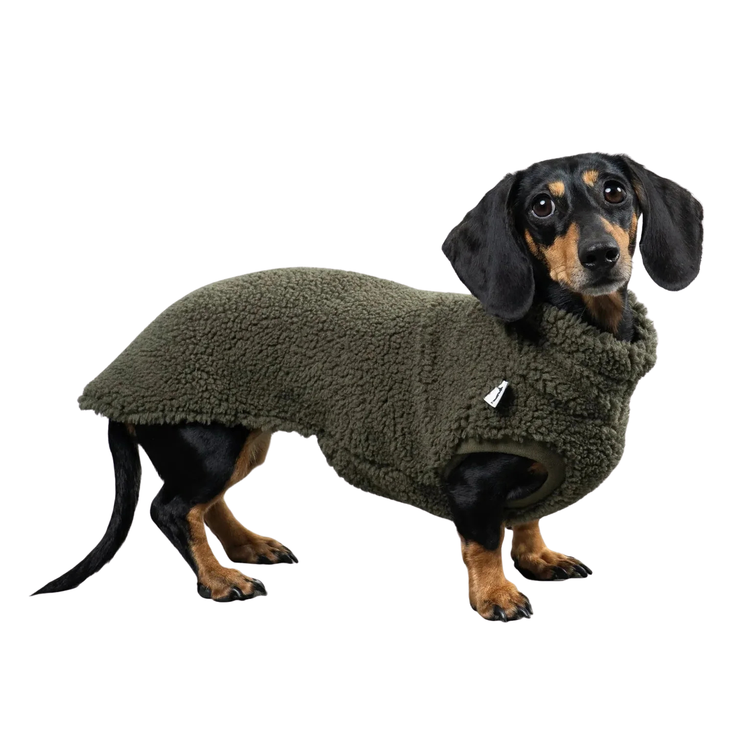 Karma Hund TEDDY SHIRT Dackel Olivgrün