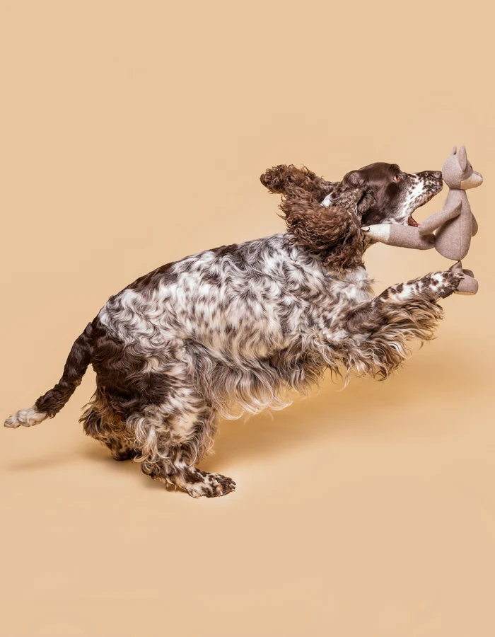 LILLABEL LUNA WOLF Hundespielzeug mit Knisterohren